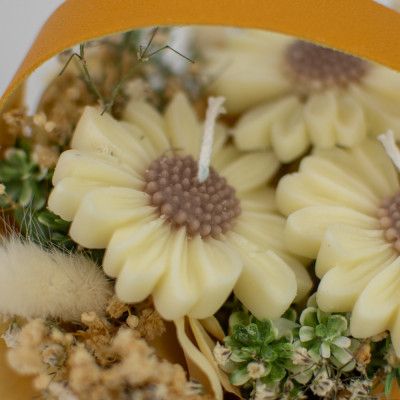 Buket Svijeća od Soje, Daisy Dream Sandéa - 3 - Daisy Dream je mini oaza mira i elegancije, savršena za svaku prigodu. Ručno  Buket Svijeća od Soje, Daisy Dream Sandéa - 3 - Daisy Dream je mini oaza mira i elegancije, savršena za svaku prigodu. Ručno